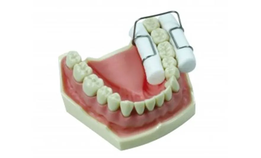 Porte rouleaux salivaires